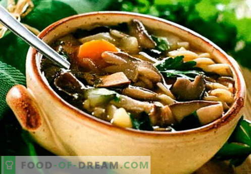 Sopa de feijão - as melhores receitas, truques e segredos. Como preparar uma deliciosa sopa de feijão: com carne, bacon, frango