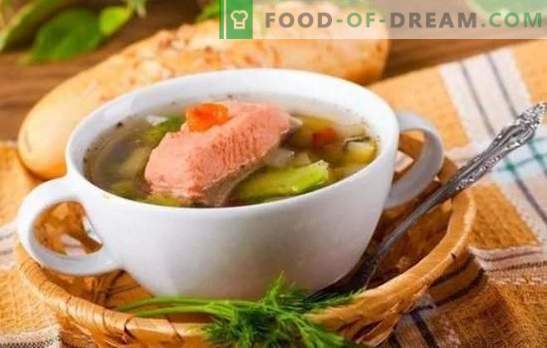 Sopa de peixe truta: benefícios para o corpo e sabor impecável em um prato. As melhores receitas de sopa de truta