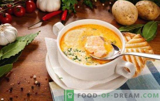 Sopa de peixe - sopa com sabor único! Receitas para várias sopas de peixe com conservas, carcaças e filés frescos, repolho, feijão