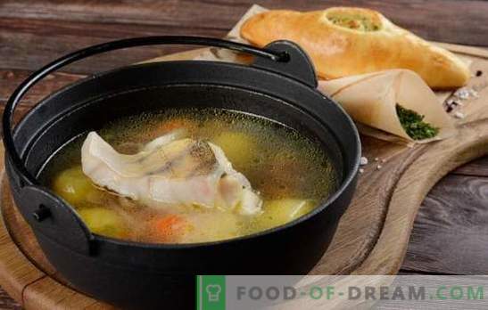 A sopa de perca é tradicional e original: com batatas, painço, cogumelos. Como cozinhar orelha de perca com ervas e vodka