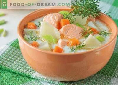 Sopa de salmão - as melhores receitas. Como corretamente e saboroso cozinhar sopa de salmão.
