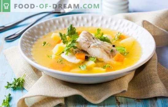 Orelha de sterlet - gosto incomparável e aroma de sopa de peixe. Como preparar uma saborosa sopa de peixe com sterlet