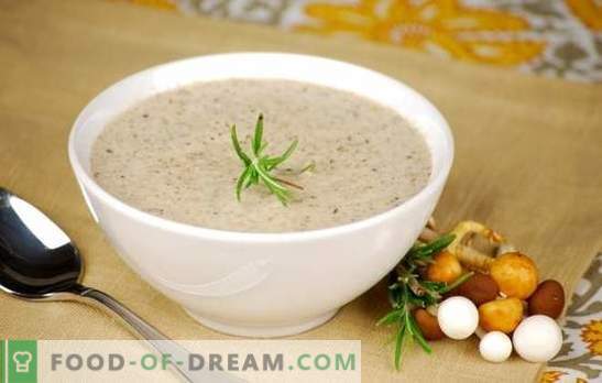 Sopa creme de cogumelos - receitas populares. Como fazer sopa de creme de cogumelos em um fogão lento, com creme ou com queijo