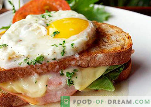 Sanduíches quentes com salsicha, queijo, ovo, tomate - as melhores receitas. Como preparar sanduíches quentes no forno, na panela e no microondas.