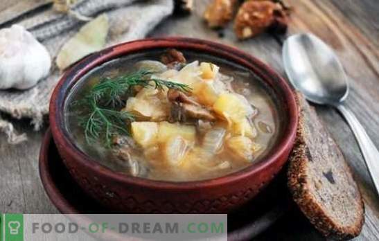 Sopa de chucrute com cogumelos: tradicional e original. Segredos da sopa de repolho com cogumelos, trigo sarraceno, feijão, cevada