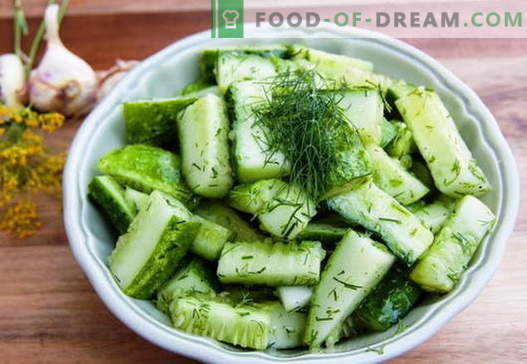Salada de pepino - as melhores receitas. Como corretamente e saboroso para cozinhar saladas de pepino.