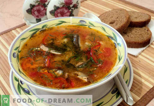 Sopa de tomate - receitas comprovadas. Como corretamente e deliciosamente cozinhar sopa de tomate espadilha.