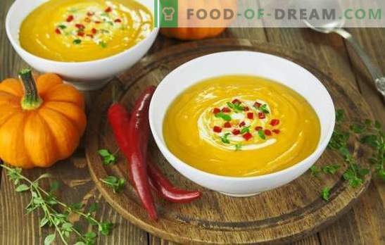 As receitas de purê de sopa são rápidas e saborosas - tenras e nutritivas. Como preparar sopa creme: receitas para primeiros pratos rápidos e saborosos