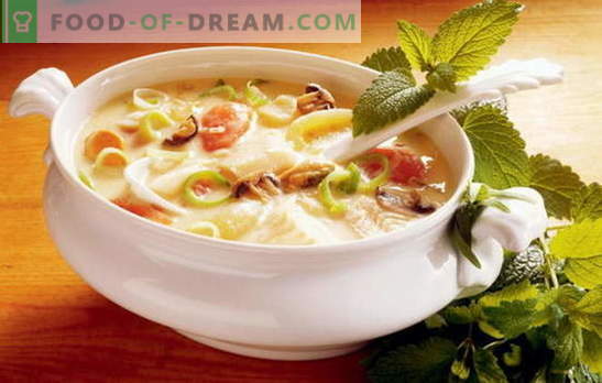 A receita de uma saborosa sopa de legumes é a base da nutrição adequada. Uma seleção das melhores receitas para saborosa sopa de vegetais de vegetais diferentes