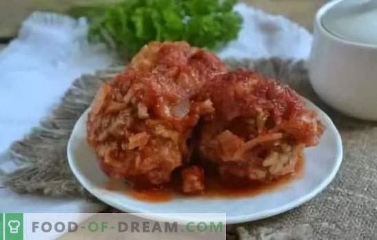 Almôndegas em molho de tomate: receitas passo a passo, segredos de cozinha. Um jantar saudável com pressa - receitas de almôndegas em molho de tomate de carne e frango
