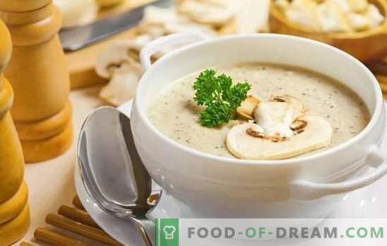 Sopas de champignon perfumado: receitas passo a passo. Prepare um recheio simples e uma sopa cremosa de champignon europeu (passo a passo)