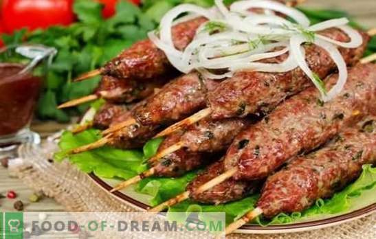 Kebab tradicional na grelha: de que e como. Receitas de kebabs de borrego, carne de porco, frango e batatas