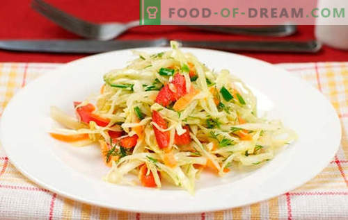 Salada de repolho com pimentão - as melhores receitas. Cozinhando uma salada com repolho e pimentão.