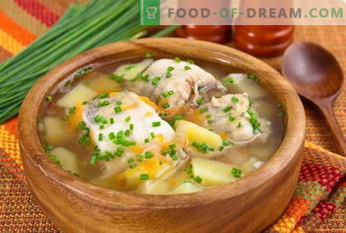 Sopa de peixe - as melhores receitas. Como corretamente e saboroso cozinhar sopa de peixe.