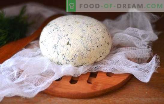 Queijo Kefir em casa - saboroso, econômico, saudável. Como fazer diferentes tipos de queijo kefir em casa