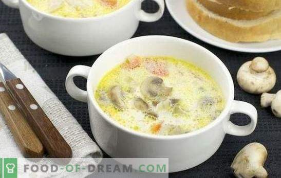 Sopa de frango com cogumelos - um ótimo primeiro prato. Receitas simples de canja de galinha com cogumelos: frescas, secas e enlatadas