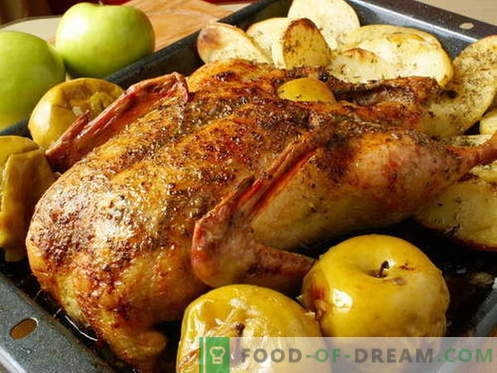 Pato com maçãs - as melhores receitas. Como propriamente e saboroso cozinhe um pato com maçãs.