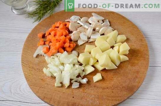 Sopa de cogumelos com frango e queijo derretido: um primeiro prato bonito e saudável. Foto-receita para sopa com frango e queijo derretido: passo a passo