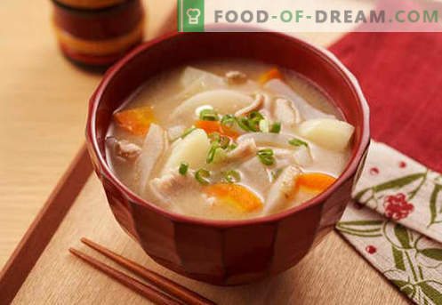 Sojina juha - dokazani recepti. Kako pravilno in okusno kuhati sojino juho.