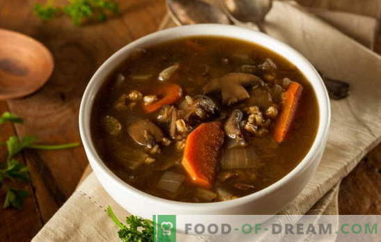 Sopa magra com cogumelos - pode ser sempre deliciosa! Várias receitas para sopas magras com cogumelos e cereais, macarrão, legumes