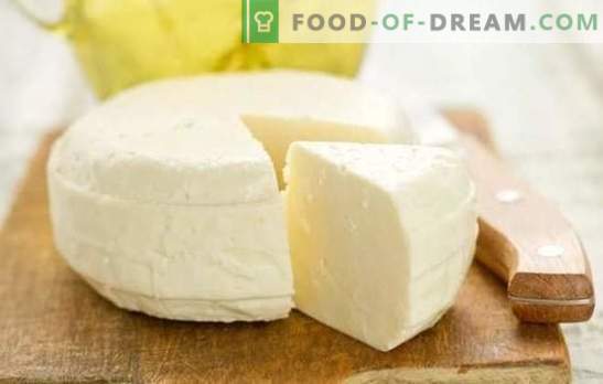 Queijo caseiro: uma receita passo-a-passo para um produto lácteo natural sem aditivos. Os segredos do delicioso queijo caseiro (receitas passo a passo)