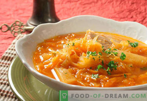 Sopa de fresco e chucrute. Como corretamente e saboroso cozinhar sopa azeda, verde, magra em um fogão lento.