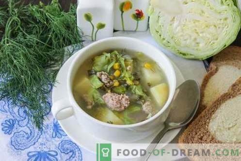 Sopa verde de legumes jovens - prato de verão para todos os dias