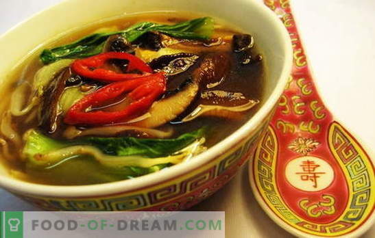 Sopa chinesa - a caminho da sabedoria oriental. Receitas de sopas chinesas com macarrão, arroz, frutos do mar, tomate, funchoza e peixe