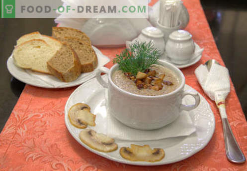 Sopa de purê de champignon - receitas comprovadas. Como cozinhar corretamente e deliciosamente uma sopa de champignon.