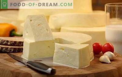 How to quickly cook suluguni at home: the recipe for young white cheese. Cooking gentle suluguni cheese at home