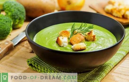 Sopa de purê de brócolis - para saúde, mente e bela figura. Receitas para sopas creme de brócolis com creme, queijo, frango, cogumelos
