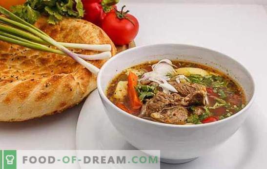 Shurpa em uzbeque é uma versão vantajosa para todos os gostos. Cozinhando sabor delicioso shurpa uzbeque com cordeiro, carne bovina