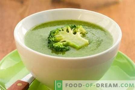 Sopa de brócolis - as melhores receitas. Como corretamente e saboroso cozinhar sopa de brócolis.