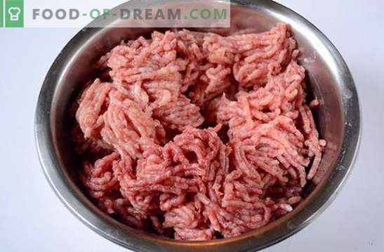 Como congelar rissóis de carne com frango: preparações úteis para uso futuro. Receita fotográfica passo-a-passo de almôndegas-produtos semi-acabados: do picadinho ao congelador