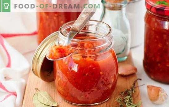 Molho de tomates e maçãs - tempero picante para pratos de peixe e carne. Como preparar um molho de tomate e maçã com especiarias