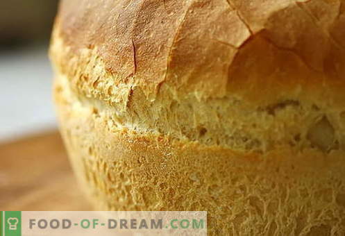 Pão no forno - as melhores receitas. Como corretamente e saboroso cozinhar pão no forno.