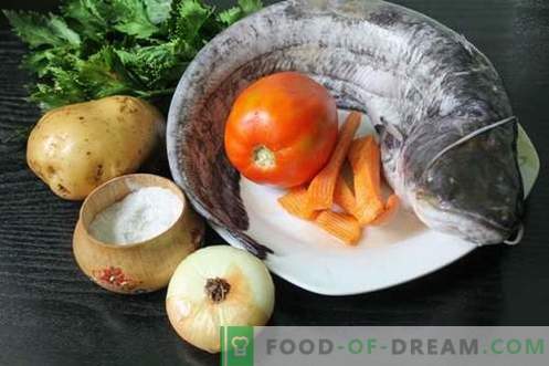 Sopa de peixe-gato - como cozinhá-lo de forma adequada e saborosa (receita com fotos)