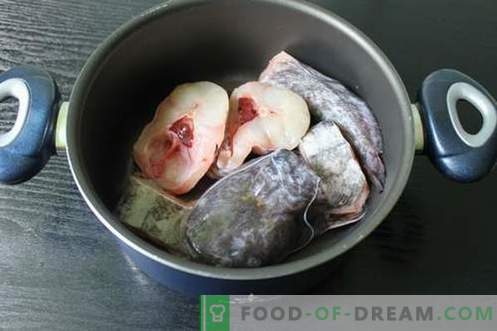 Sopa de peixe-gato - como cozinhá-lo de forma adequada e saborosa (receita com fotos)