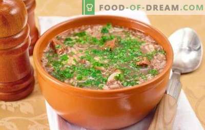Klassieke Kharcho-soep - interessante recepten. Kooksoep-klassieke Kharcho van rundvlees, lam, varkensvlees koken