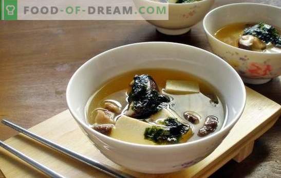 Sopa de cogumelos - um prato aromático para o almoço em qualquer época do ano. As melhores receitas de sopa de cogumelos de ostra com frango, queijo, etc.