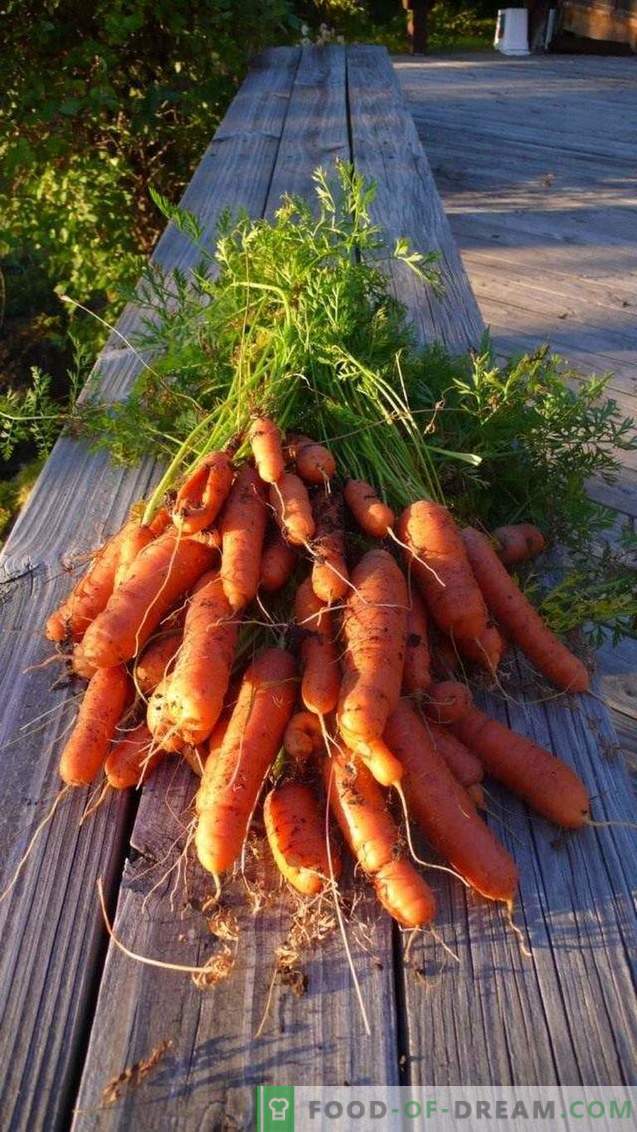 Propriedades úteis de cenouras