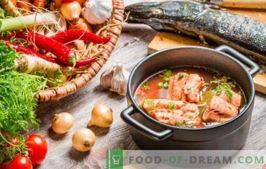 Sopa de peixe vermelho - excelente sabor e máximo benefício. Uma seleção das melhores receitas de sopa de peixe vermelho com milho, tomate, caviar vermelho