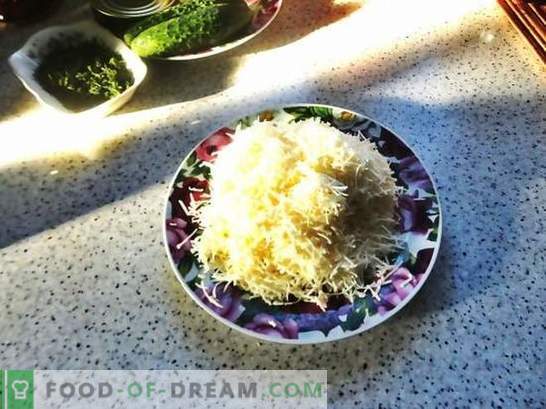 Roll Lavash com queijo derretido: um lanche de orçamento. Receita de foto passo-a-passo de pão pita com queijo derretido: simples e saboroso!