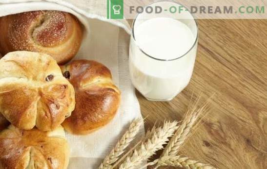 Massa de muffins com leite - cozinhamos em casa! Receitas para massa de esponja rápida e clássica para pães com leite