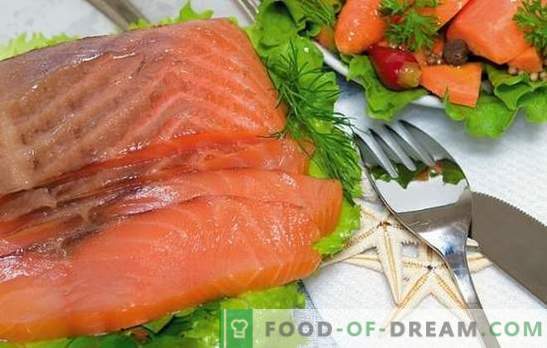 Salmão salmão em casa: iguaria acessível! Receitas salmão rosa salgado e os segredos de salga-lo em casa