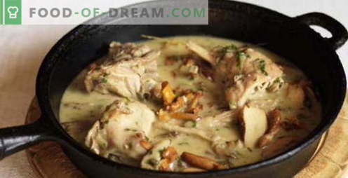 Coelho em creme azedo - as melhores receitas. Como cozinhar corretamente e saboroso coelho em creme azedo.