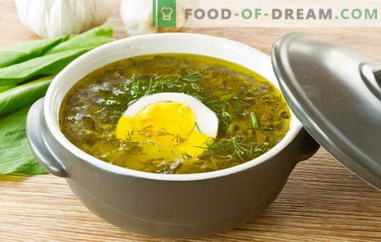 Sopa de alazão - carga de humor de verão! Receitas para sopa oxálica com ovo, almôndegas, arroz, frango, ensopado