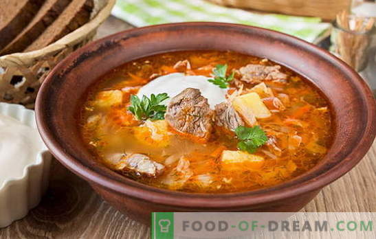 Sopa de repolho fresco - 10 melhores receitas. Versões da sopa de repolho com carne, frango, porco, carne fumada, feijão