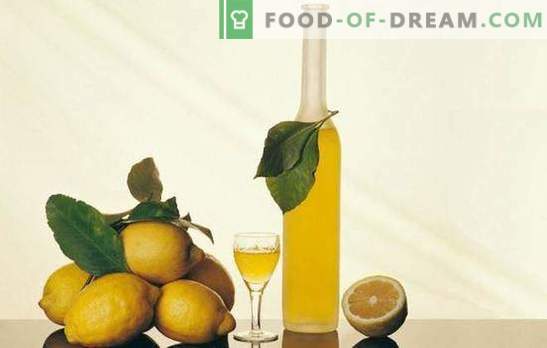 Tintura de limão e segredos da sua preparação. Receitas de tintura de limão para um bar caseiro com um refrescante aroma cítrico