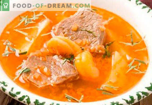 Sopa em caldo de carne - as melhores receitas. Como corretamente e saboroso cozinhar sopa em caldo de carne.